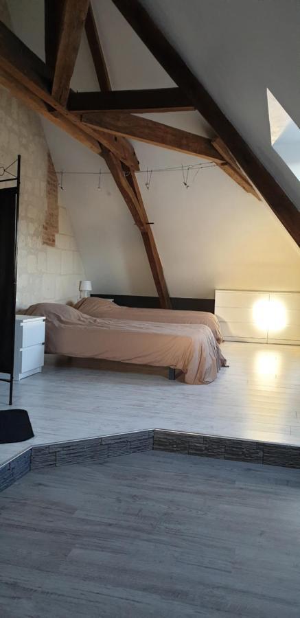Bourgueil - Grand Appartement Proche Cnpe Chinon Екстер'єр фото